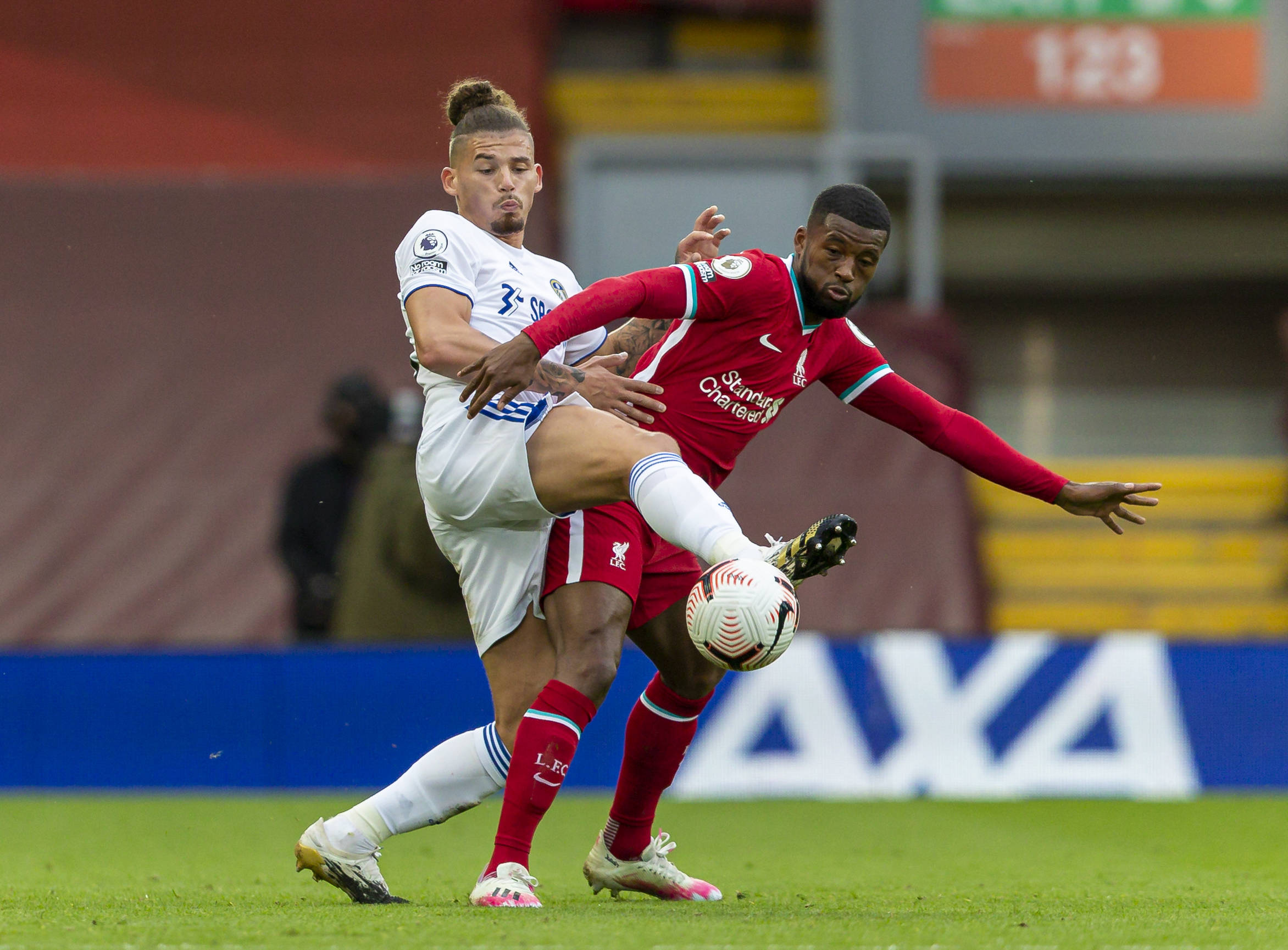 张菁月的成 张菁月的成